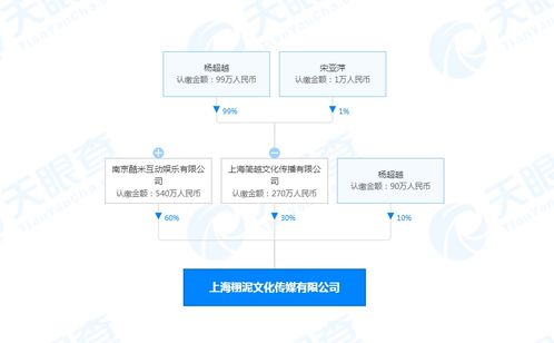 楊超越跨界投資AI領域，新公司布局傳媒與人工智能軟件開發(fā)